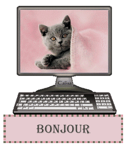 Gif bonjour chat